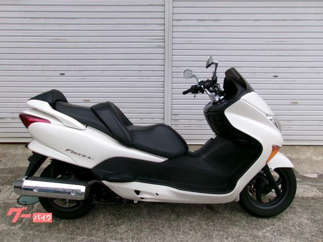 (売約済)ホンダ　フォルツァX　ノーマル　人気の白 新商品情報 ホンダ フォルツァ（FORZA） 2025モデル | 川口輪業