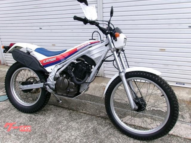 ホンダ TLR250R｜モトスポーツ金沢｜新車・中古バイクなら