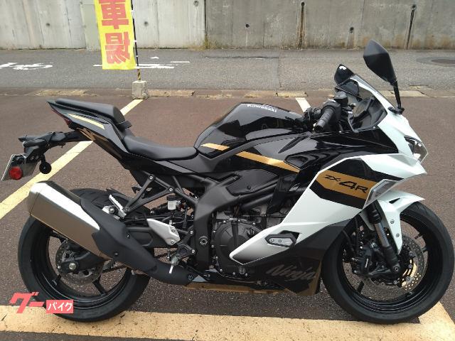 Ｎｉｎｊａ　ＺＸ−４Ｒ　ＳＥ