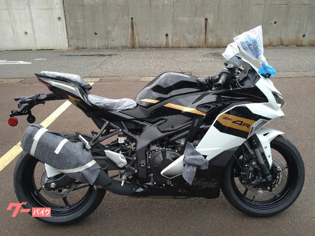 Ninja ZX−4R SE スライダー アクセサリー電源付き