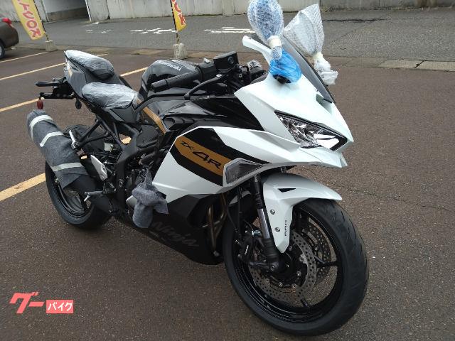 カワサキ Ninja ZX－4R SE スライダー アクセサリー電源