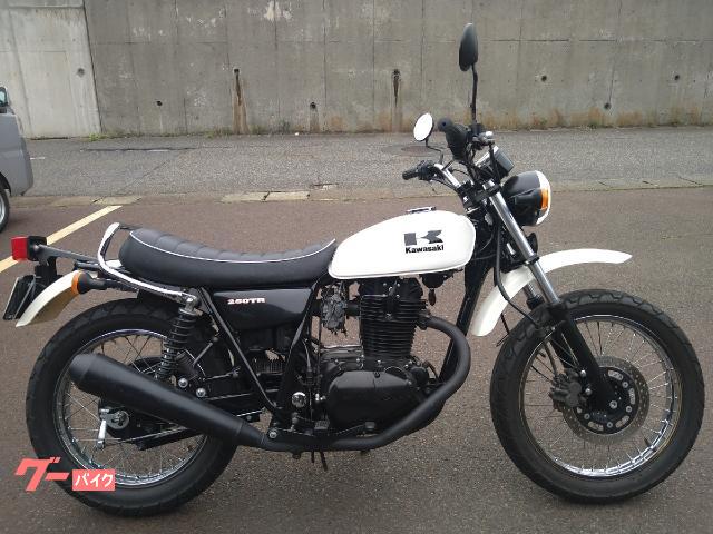 ２５０ＴＲ　グラブレール