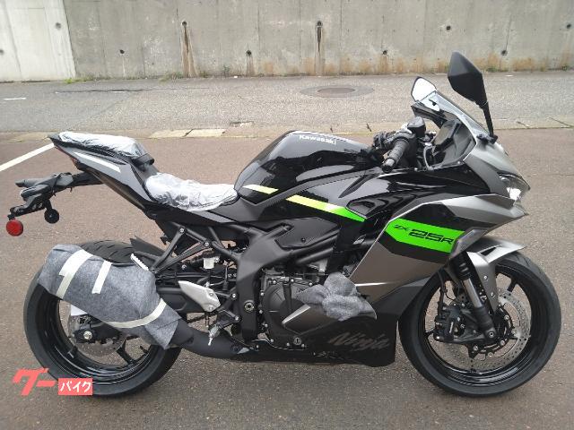 Ｎｉｎｊａ　ＺＸ−２５Ｒ　ＳＥ