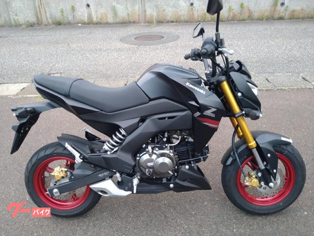 Ｚ１２５ＰＲＯ　ノーマル