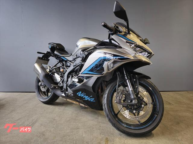 Ｎｉｎｊａ　ＺＸ−２５Ｒ　ＳＥ