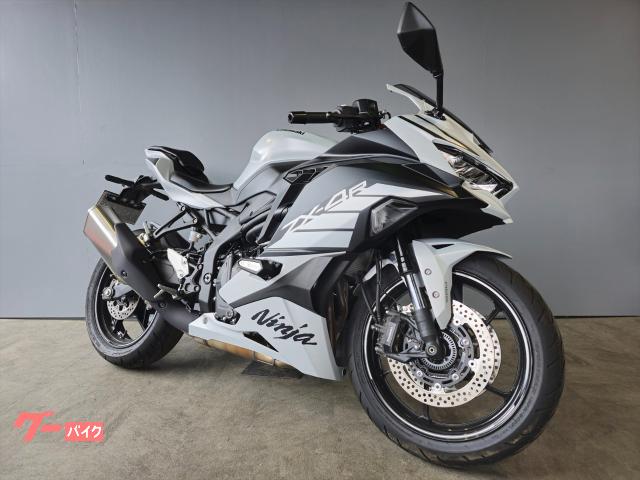 Ｎｉｎｊａ　ＺＸ−４Ｒ　ＳＥ