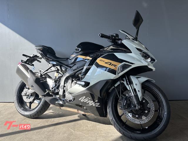 Ｎｉｎｊａ　ＺＸ−４Ｒ　ＳＥ