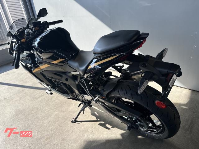 カワサキ Ninja ZX－4R SE｜アルファビッグバイク