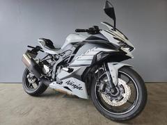 カワサキ　Ｎｉｎｊａ　ＺＸ−４Ｒ　ＳＥ