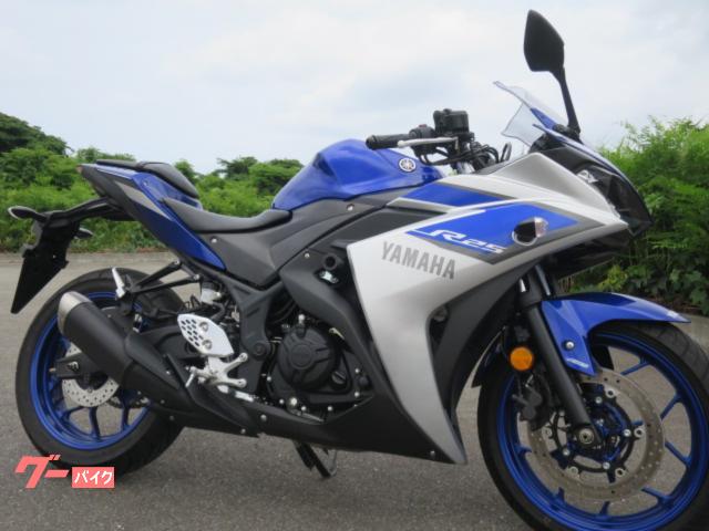 ＹＺＦ−Ｒ２５　ＡＢＳ　フレームスライダー　ヘルメットホルダー付　取説あり