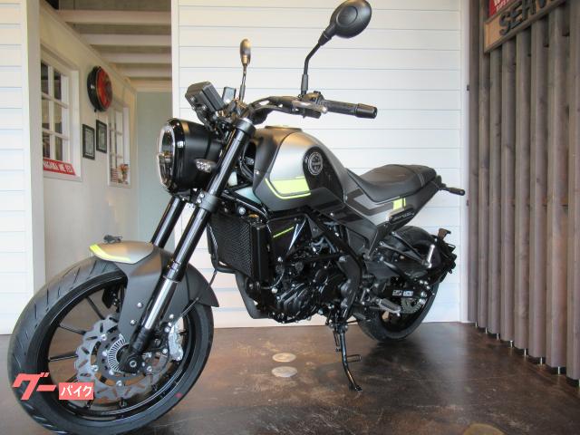 ＢＥＮＥＬＬＩ レオンチーノ２５０の画像（新潟県