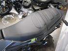 ＢＥＮＥＬＬＩ レオンチーノ２５０の画像（新潟県