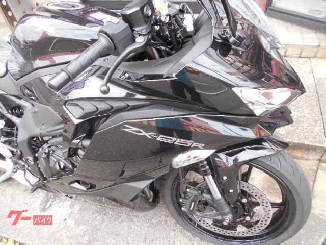 カワサキ Ｎｉｎｊａ　ＺＸ－２５Ｒ　ＺＸ２５０Ｅの画像（新潟県