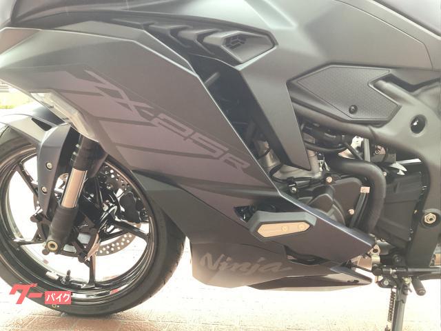 ニンジャ250.EX250P純正ガソリンタンク.燃料タンク.18-19ベース
