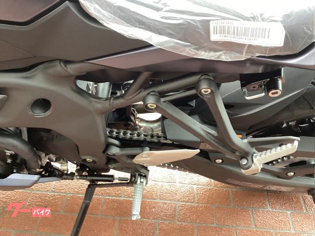 カワサキ Ninja 250 EX250P 2018年 純正