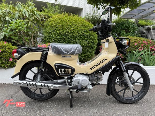 クロスカブ１１０