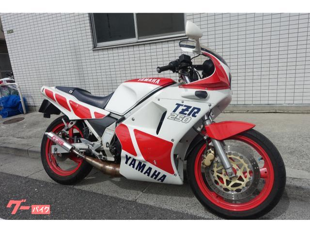 ＴＺＲ２５０　１ＫＴ　パラレルツインエンジン　デルタＢＯＸフレーム　Ｋ２チャンバー　赤白