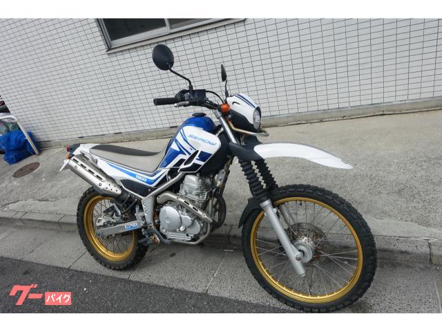 セロー２５０　ＤＧ１７Ｊ　ノーマル　インジェクション　青白