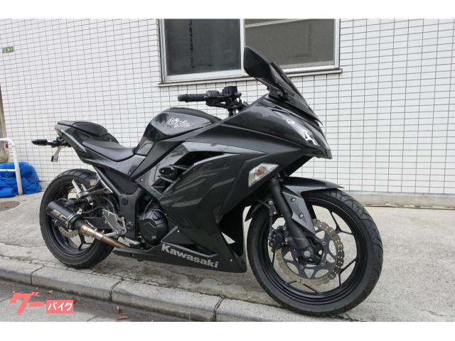 Ninja 250 EX250L SCマフラー ブラック