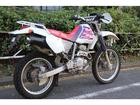 ホンダ ＸＲ２５０　ＭＤ３０　ノーマル　キャブの画像（東京都