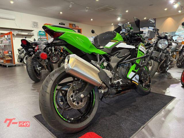 カワサキ Ninja ZX-4RR ZX-4RR 大型ウイング カワサキ Ninja ZX-4RR ZX-4RR 大型ウイング