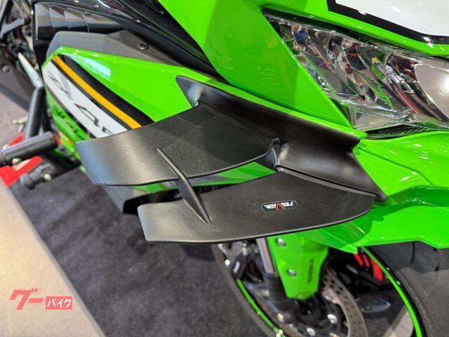 カワサキ Ninja ZX-4RR ZX-4RR 大型ウイング カワサキ Ninja ZX-4RR ZX-4RR 大型ウイング