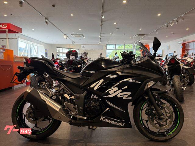 Ｎｉｎｊａ　２５０　ニンジャ２５０ＡＢＳ　Ｗｉｎｔｅｒ　Ｔｅｓｔ　Ｅｄｉｔｉｏｎ