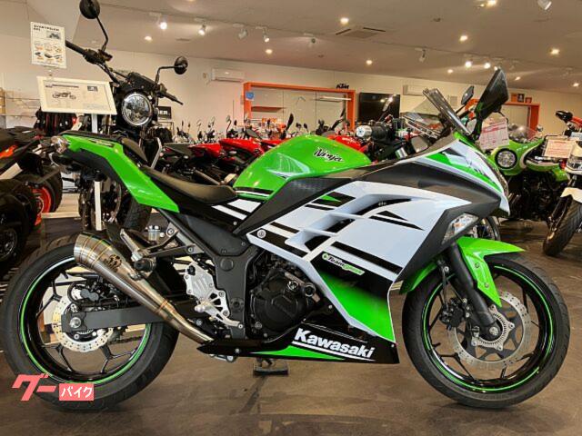 Ｎｉｎｊａ　２５０　ＥＴＣ１．０　バックステップ　社外マフラー　フレームスライダー　フェンダーレス