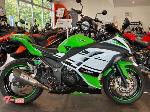 Ｎｉｎｊａ　２５０　Ｎｉｎｊａ２５０　ＵＳＢ電源　社外カウル　ヨシムラマフラー　ステアリングダンパー　カスタム多数