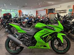 カワサキ　Ｎｉｎｊａ　２５０Ｒ　ニンジャ　２５０Ｒ　フェンダーレス　スライダー装着済み