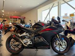 ホンダ　ＣＢＲ２５０ＲＲ　ＣＢＲ２５０ＲＲ　ＭＣ５１　社外サイレンサー　社外スクリーン　社外レバー