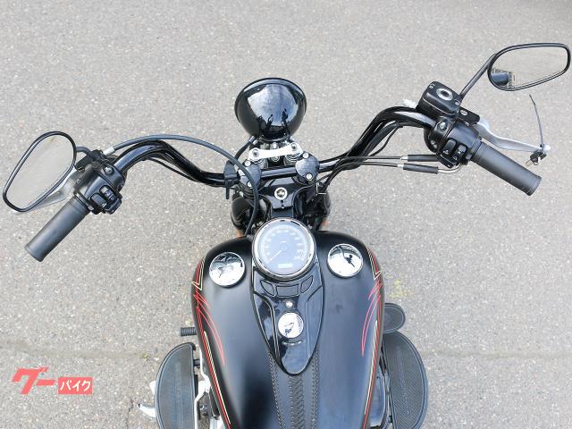 HARLEY－DAVIDSON FLSTSB クロスボーンズ