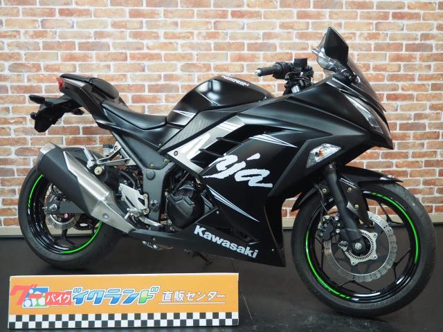 カワサキ Ｎｉｎｊａ ２５０ ウインターテストエディション 社外