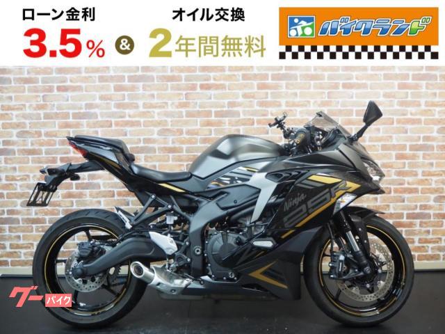 Ｎｉｎｊａ　ＺＸ−２５Ｒ　ＳＥ　ＥＴＣ２．０　ＵＳＢ　マルチバー