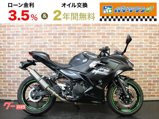 Ｎｉｎｊａ　２５０　ビームスマフラー　スライダー