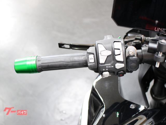 カワサキ Ninja 1000 SX ETC アクラポビッチマフラー
