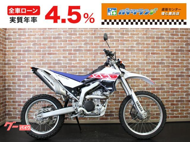 ＷＲ２５０Ｒ　外装　フェンダーレス　レバー