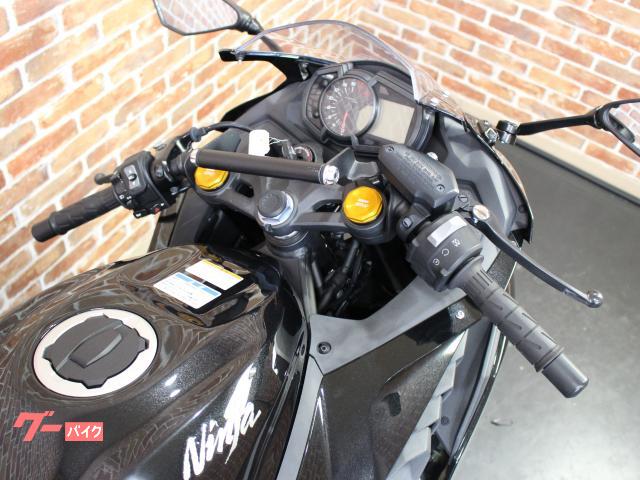 カワサキ Ninja ZX－25R ETC2．0 マルチバー｜バイク