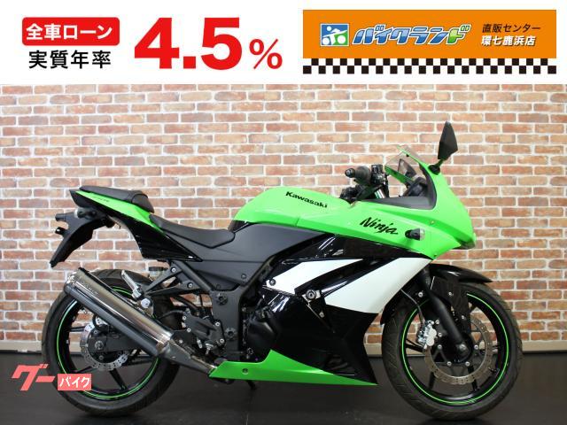 Ｎｉｎｊａ　２５０Ｒスペシャルエディション　スライダー