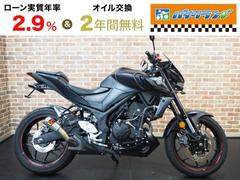 ヤマハ　ＭＴ−０３（３２０ｃｃ）アクラポマフラー　フェンダーレス　リアインナーフェンダー　スライダー　グリップヒーター　ＥＴＣ２．０