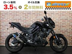 ヤマハ　ＭＴ−０３（３２０ｃｃ）ＥＴＣ　ＵＳＢ　ＷＲ’ｓマフラー　ＥＧスライダー　フェンダーレス　インナーフェンダー