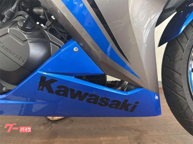 カワサキ Ninja 250 2016年モデル SP忠男ツイン