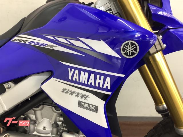 YAMAHA WR250R 青 期間限定値下げサマーセール 諸経費0円 始動確認