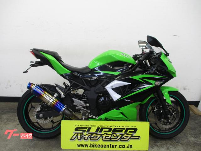 Ｎｉｎｊａ　２５０ＳＬ２０１５年モデル　カスタムマフラー