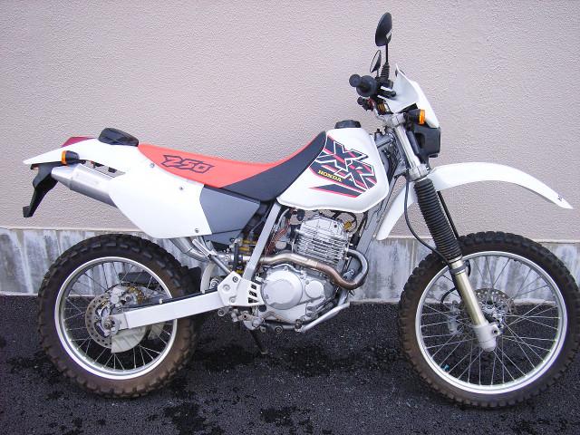 HONDA XR250 | 1999 | WHITE | 12,637 km | details | Japanese used ...