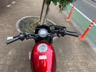 ホンダ レブル２５０Ｓエディション　ＡＢＳ　新車　国内正規　２０２３年モデル　８ＢＫ－ＭＣ４９　キャンディーディーゼルレッドの画像（東京都