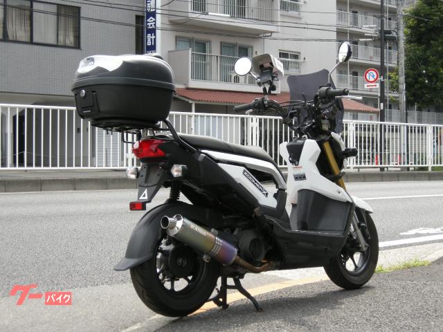 ホンダ ズーマーＸ ＪＦ５２ ＰＧＭ－ＦＩ グリップヒーター モリワキカスタムマフラー｜有限会社ＦＲＡＭＥ ＷＯＲＫ｜新車・中古バイクなら【グーバイク】