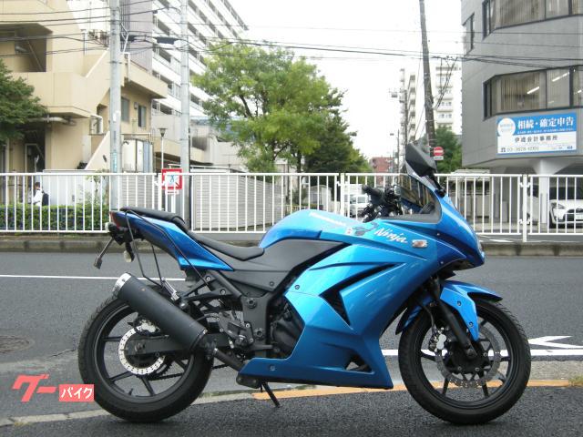 Ｎｉｎｊａ　２５０Ｒ　ＥＸ２５０Ｋ　ＦＩ　フルカウルスポーツバイク