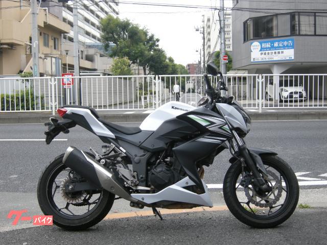 Ｚ２５０　ＥＲ２５０Ｃ　ＦＩ