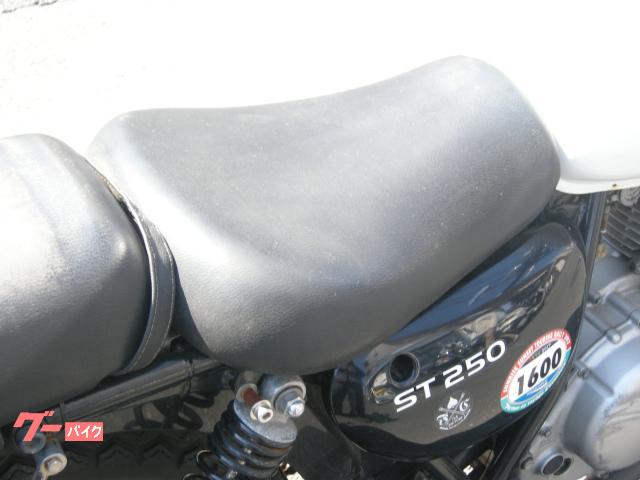 スズキ ST250 NJ4AA ETC サイドバッグ｜有限会社